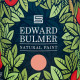 Edward Bulmer Natural Paint