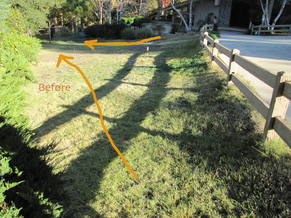 California native garden