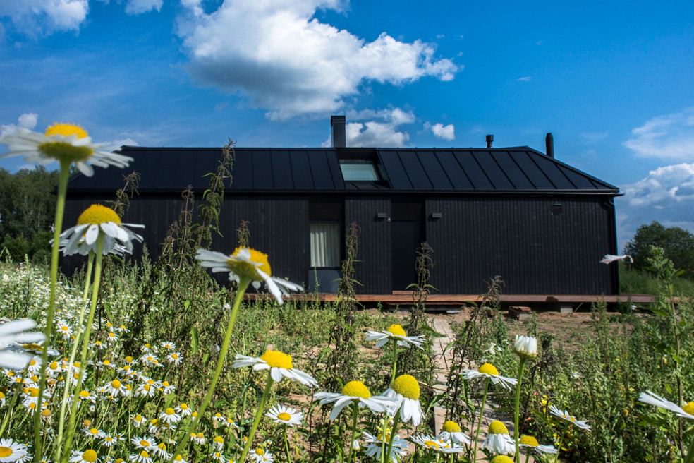 Шведский дом в деревне Палицы