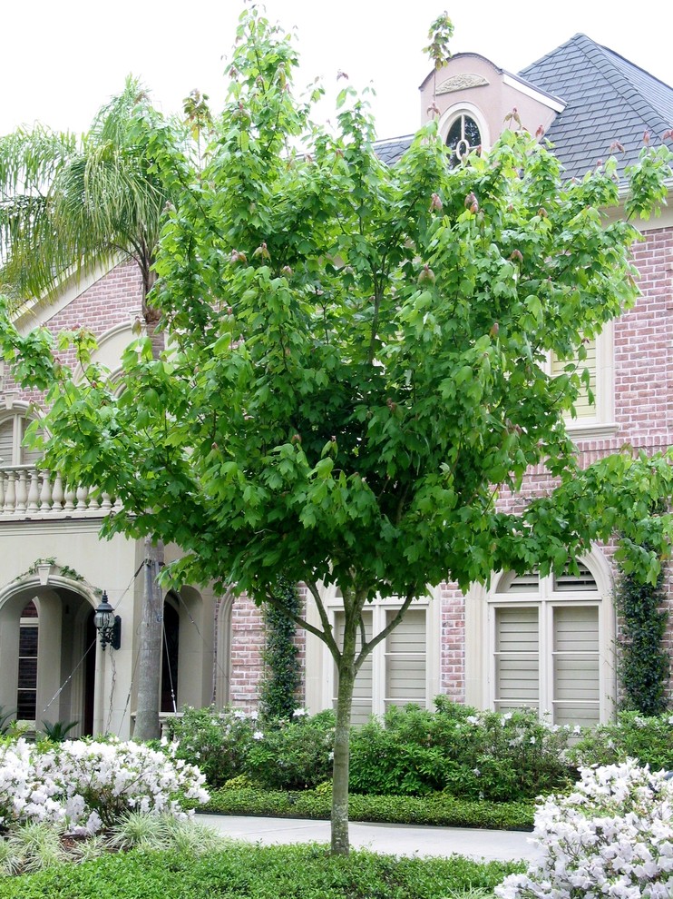 Inspiration for a timeless home design remodel in Houston