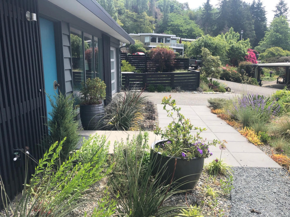 This is an example of a small midcentury front yard full sun garden in Seattle with a garden path and concrete pavers.