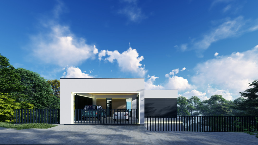 Minimal modern house 207+198