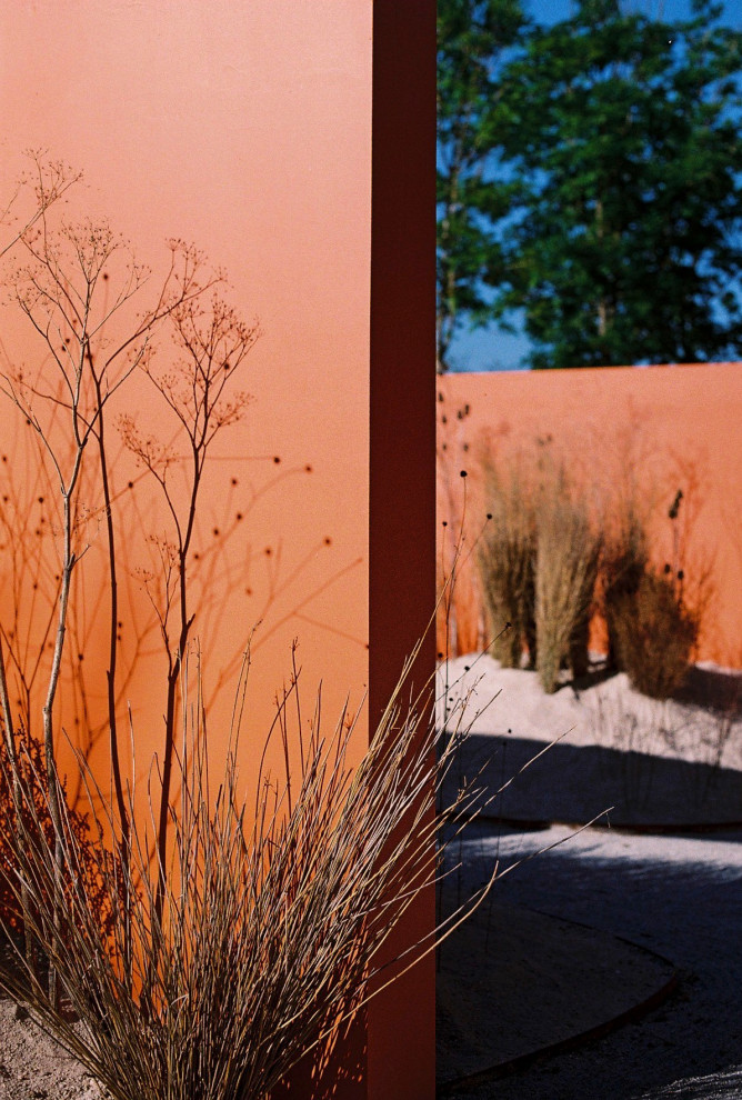 Стильный дизайн: большой засухоустойчивый сад на внутреннем дворе в стиле модернизм с пустынными растениями, полуденной тенью и покрытием из гравия - последний тренд