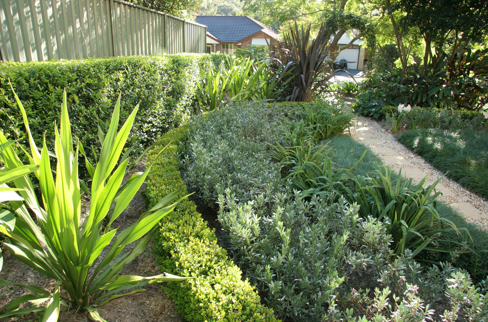 Inspiration for an australian native contemporary garden in Sydney.