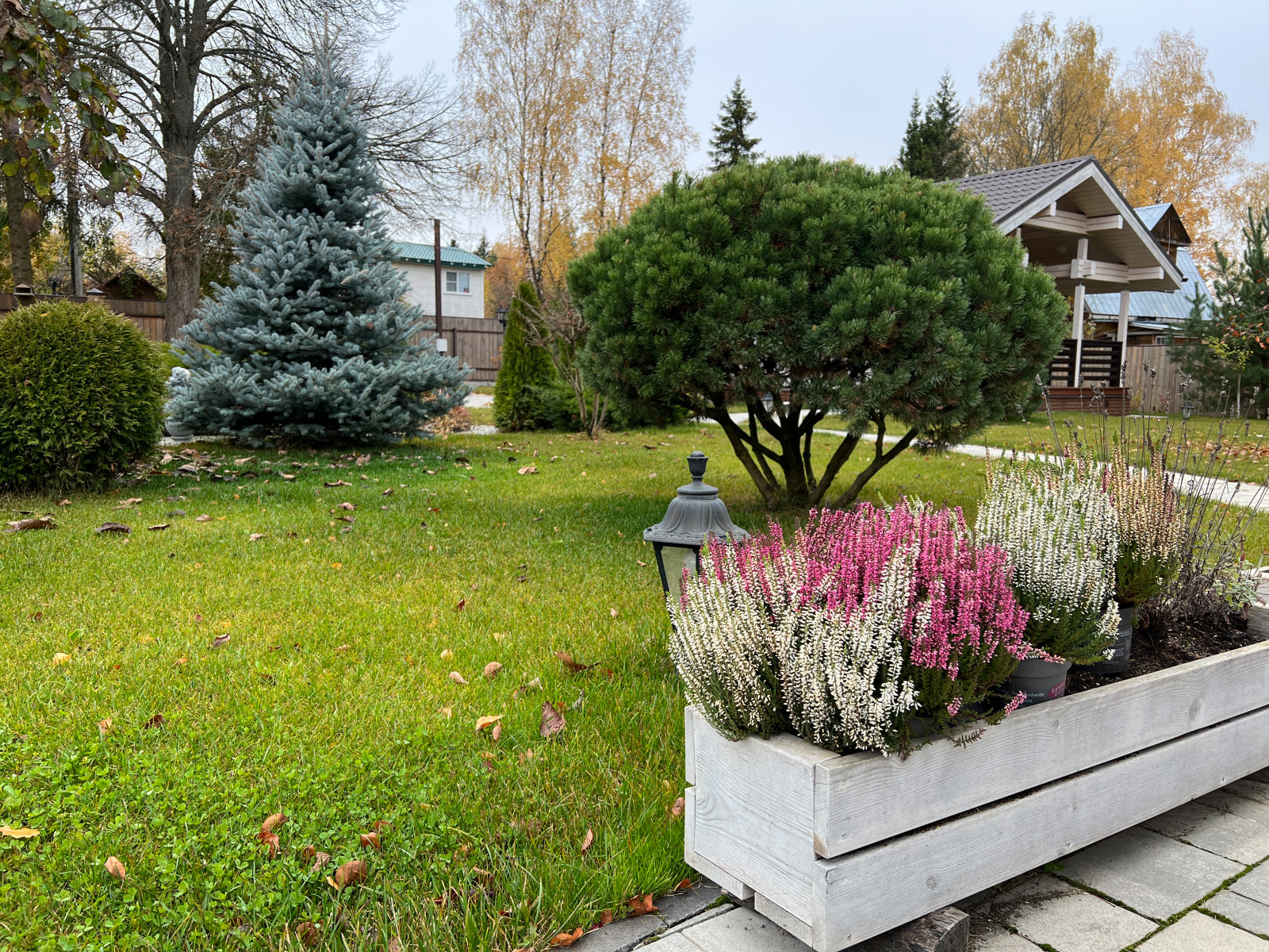 Сады осенью