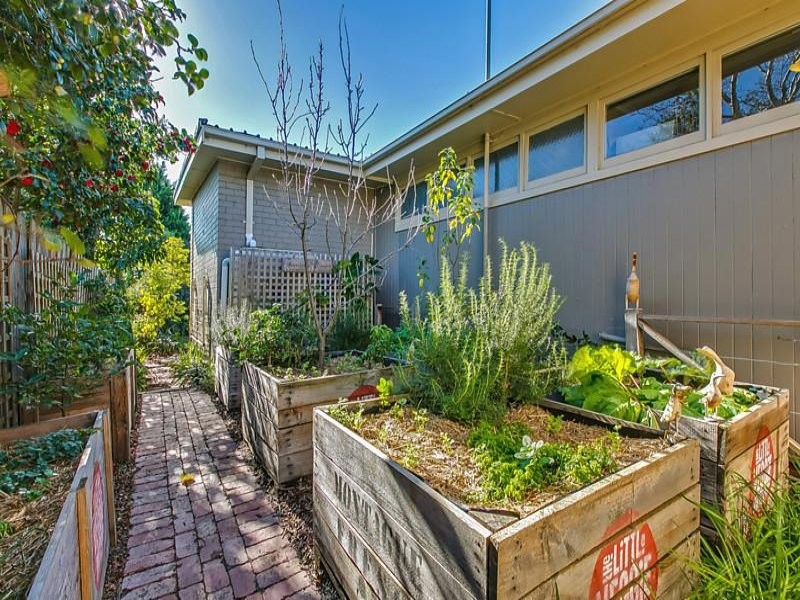 Photo of a mid-sized and australian native midcentury courtyard partial sun xeriscape in Melbourne with a vegetable garden and brick pavers.
