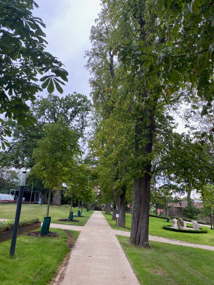 Klassischer Garten in Nürnberg