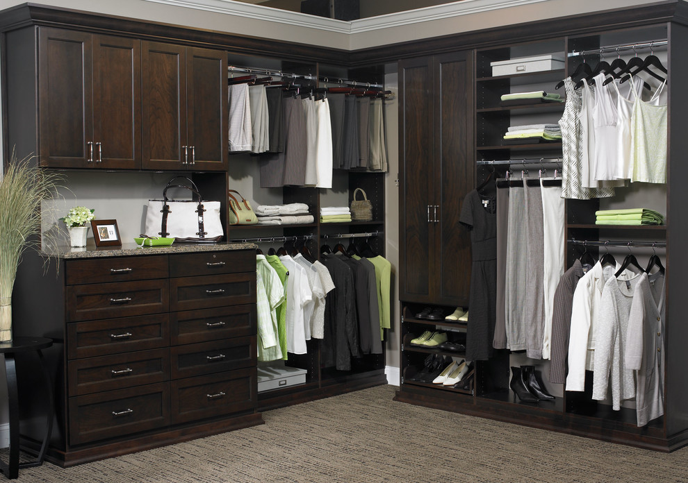 This is an example of a contemporary storage and wardrobe in New York with raised-panel cabinets, dark wood cabinets and medium hardwood floors.
