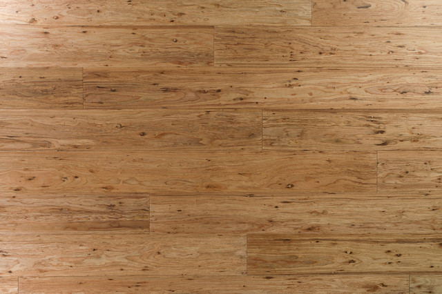 Tupelo Honey Wide Plank Strand Eucalyptus Flooring Contemporary