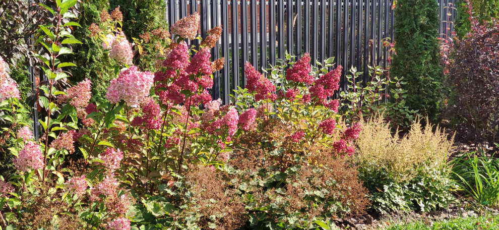 "Мурановские кружева"