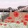 jean_yves_dardel
