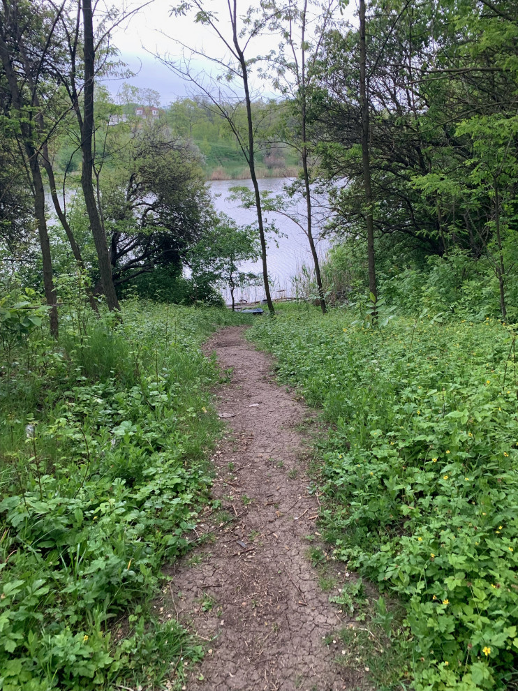 Баса отдыха. Кумжинской роща, берег Дона