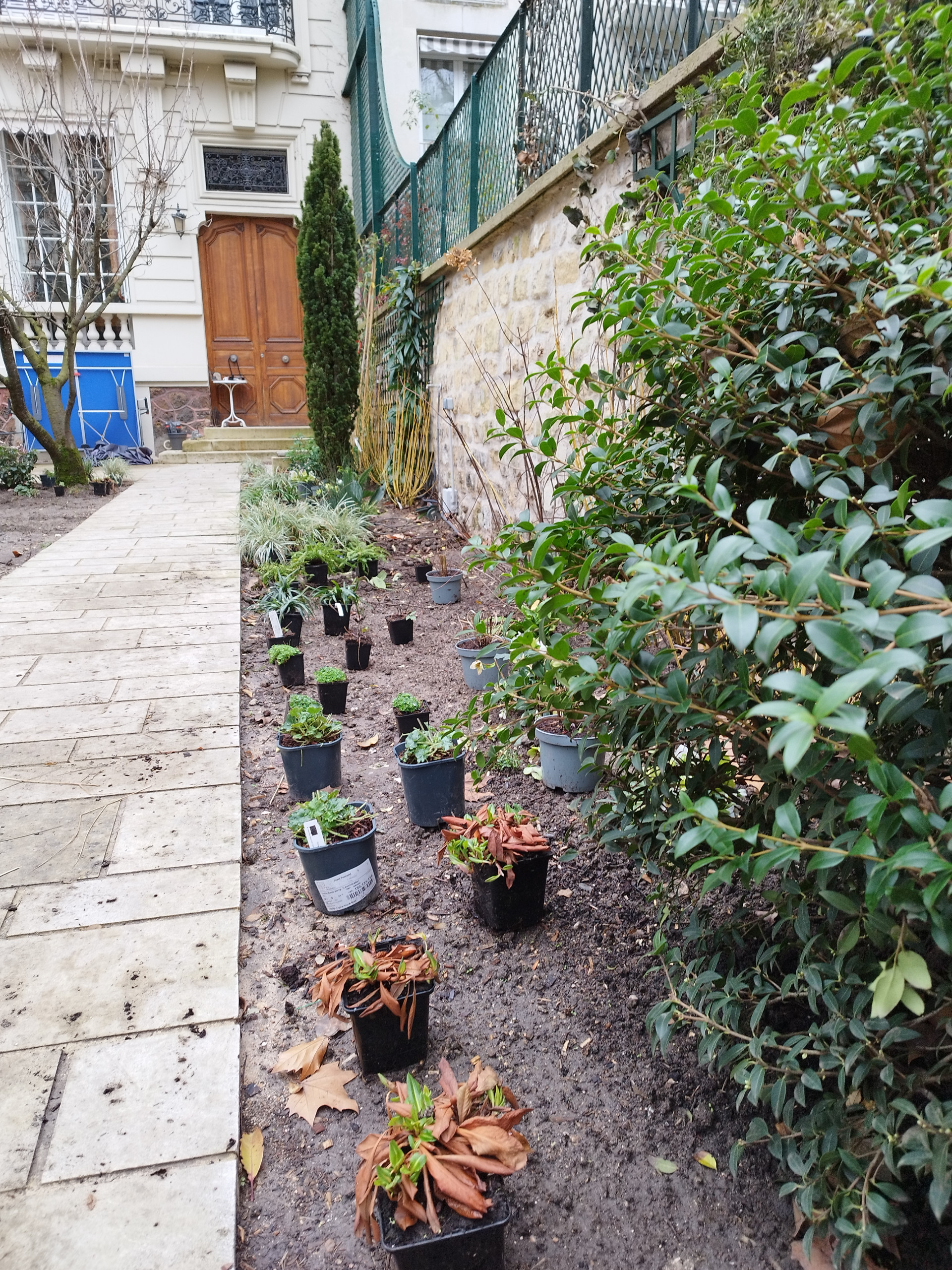 CHANTIER - Planation des massifs