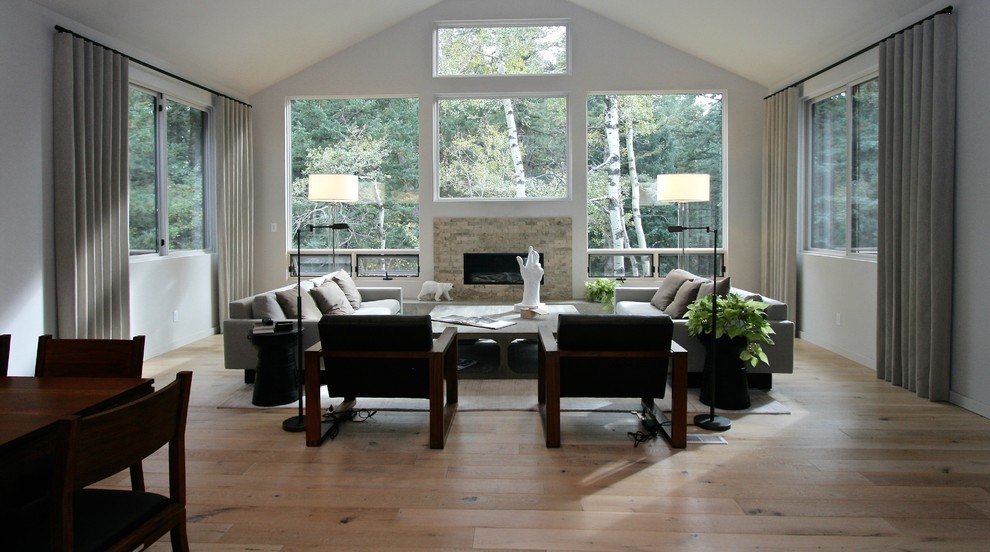 Example of a minimalist living room design in Denver