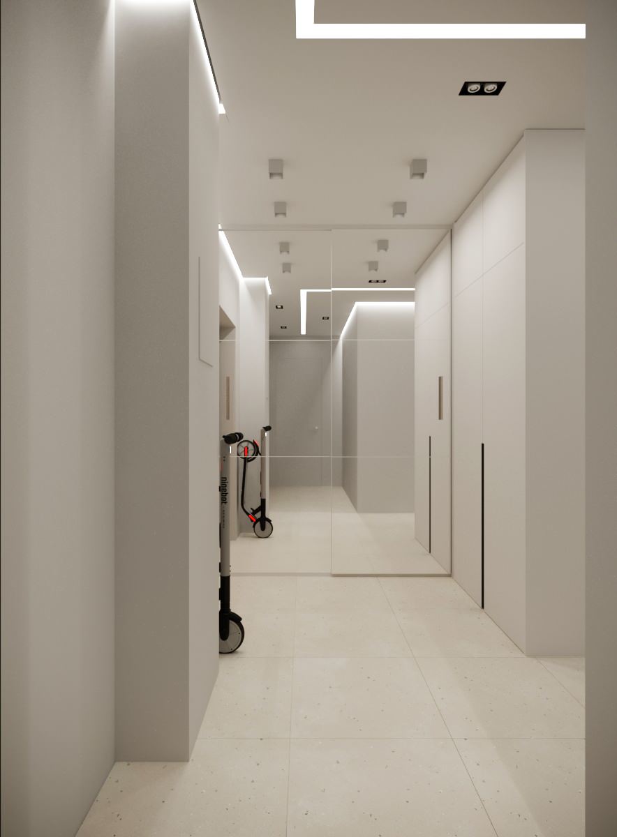 Проект квартиры  для молодой пары  стоматологов