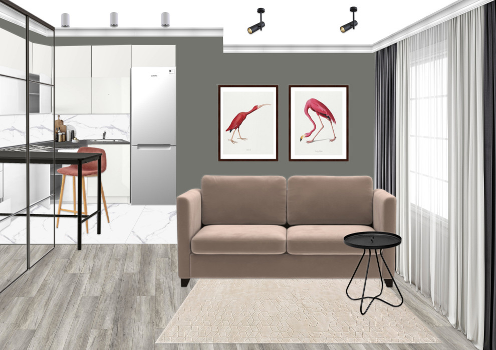 Квартира-студия для Громовых