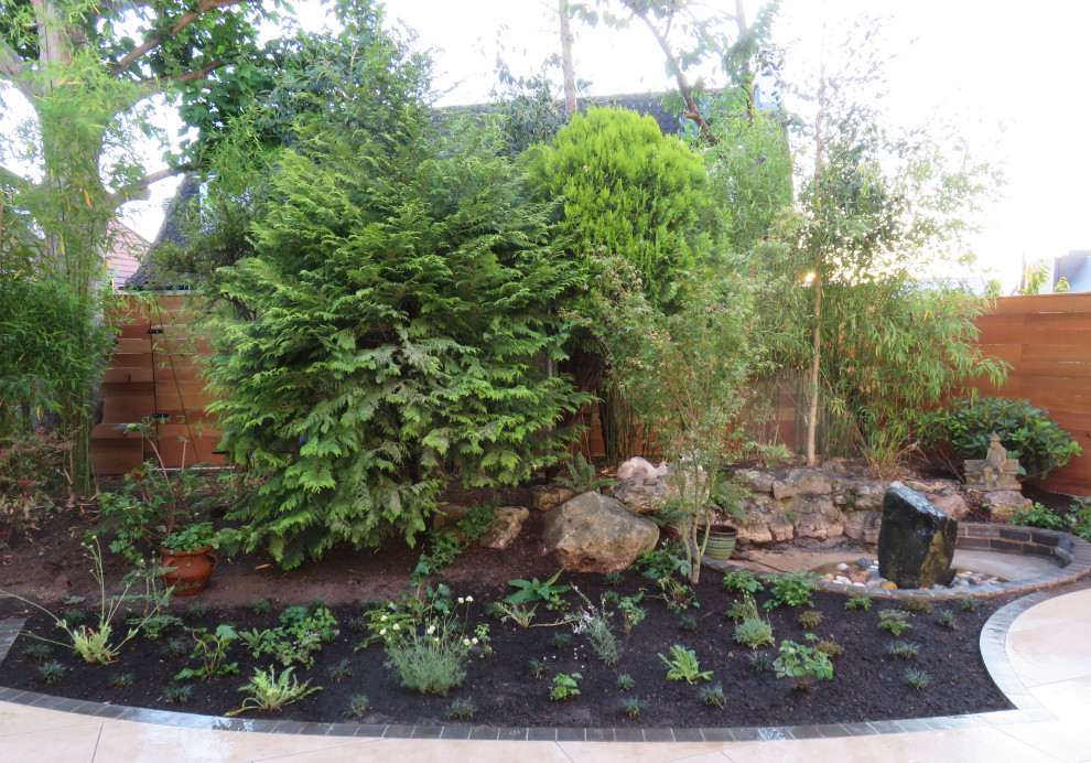 Back Garden, London