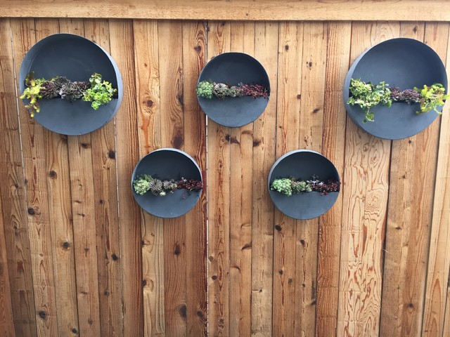 Edmonds Backyard Getaway garden