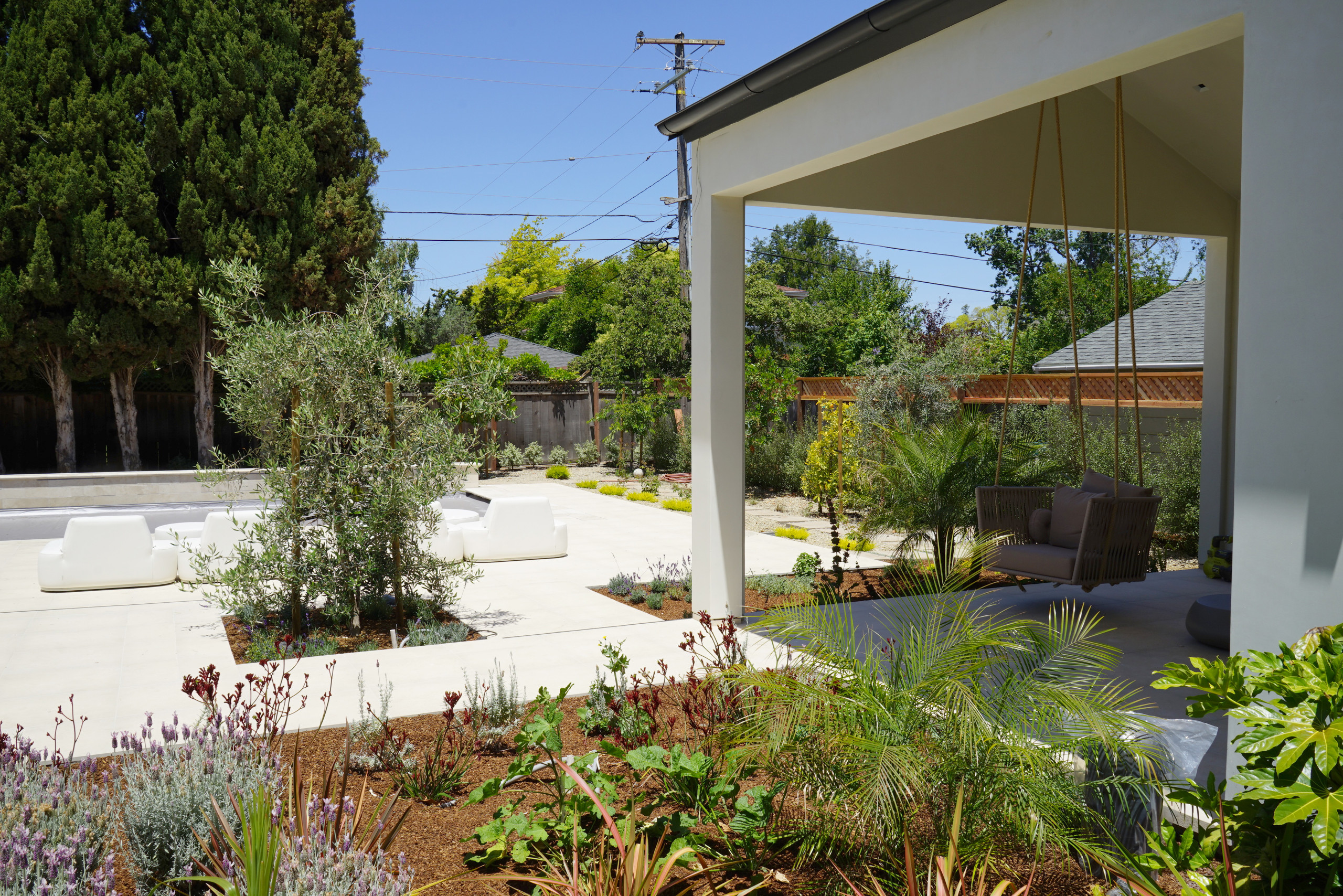 Pool Backyard