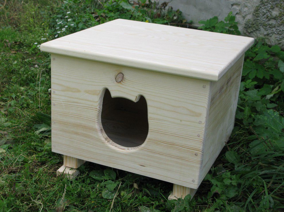 Наши роботы