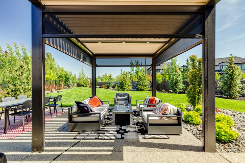 Immagine di una terrazza minimalista dietro casa e a piano terra con una pergola
