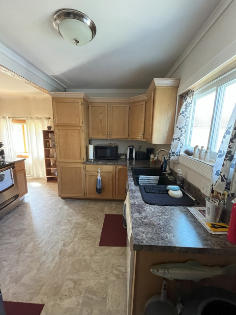 kitchen correction transitional
