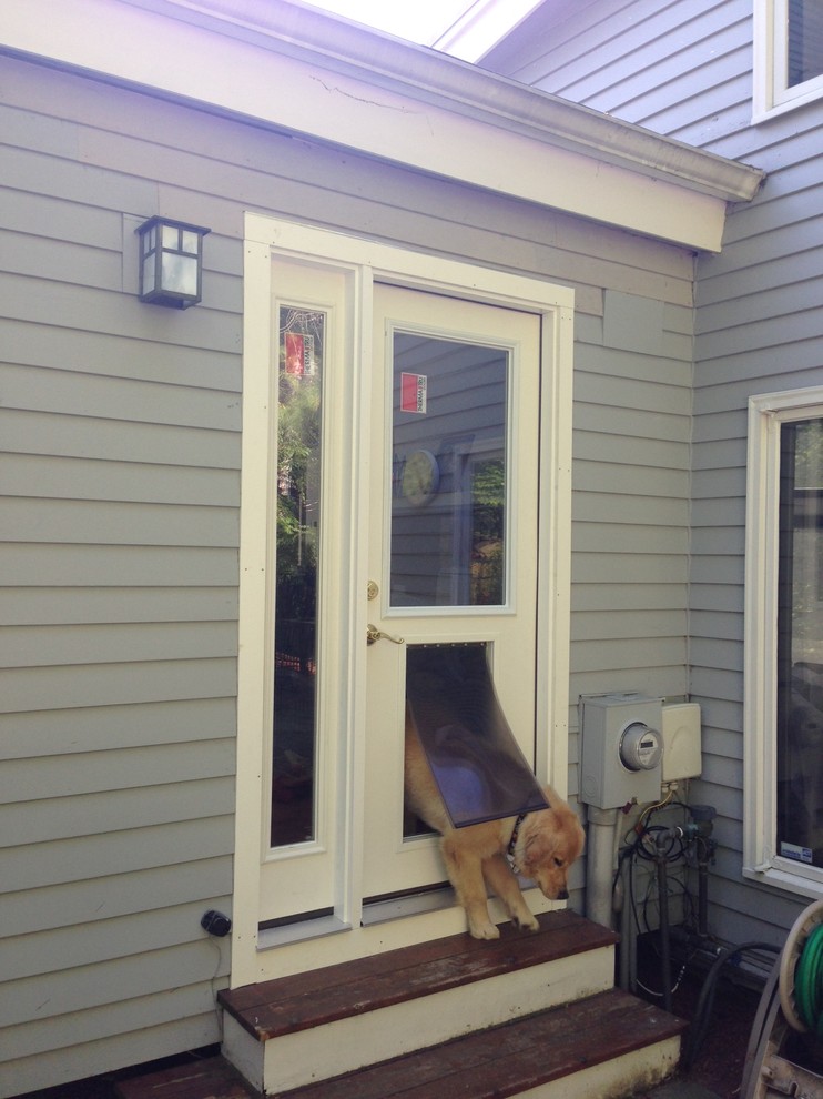 Wayland Doggie Door/New Door!