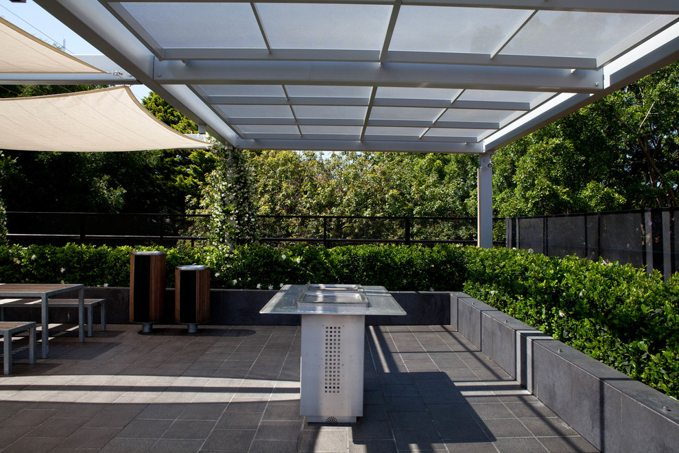 This is an example of a small contemporary courtyard partial sun formal garden in Sydney with a container garden.