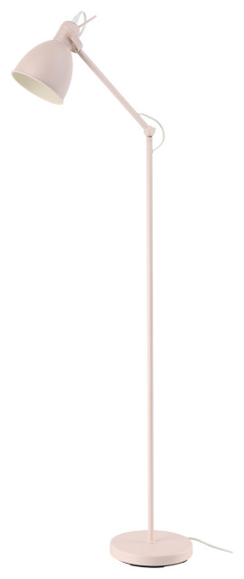 Priddy 1-Light Floor Lamp, Apricot Finish, Apricot Metal Shade
