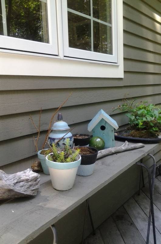Transitional deck photo in Boston