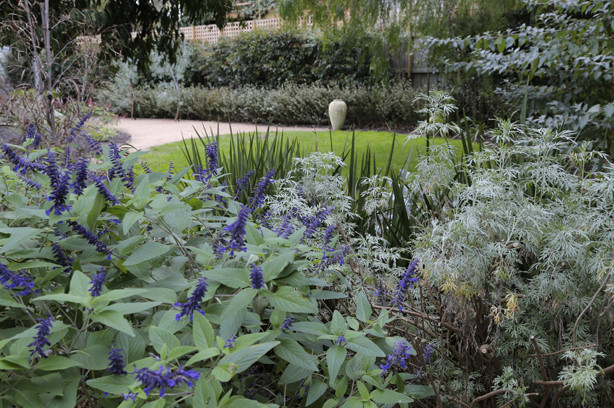 Gallery contemporary-garden