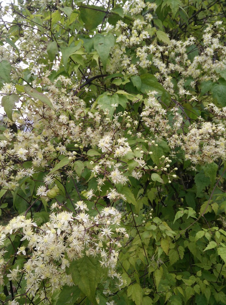 Красив в любое время года