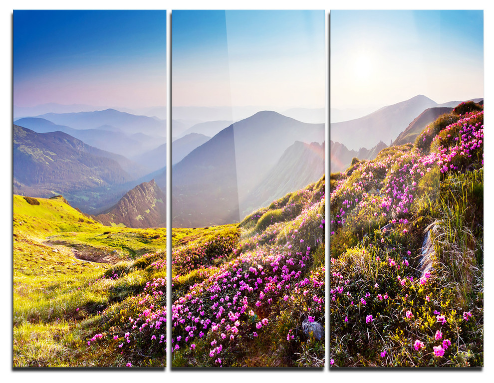 Magic Pink Flowers On Mountains Photo Metal Wall Art 3 Panels 36 X28 Contemporary Metal Wall Art By Design Art Usa