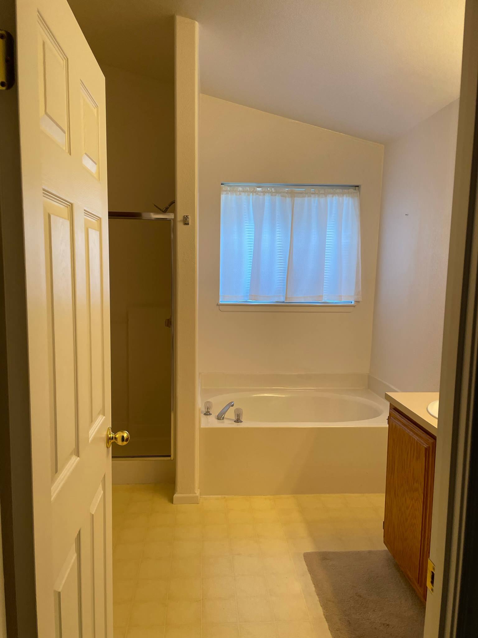 Quarter Primary Bathroom - Before