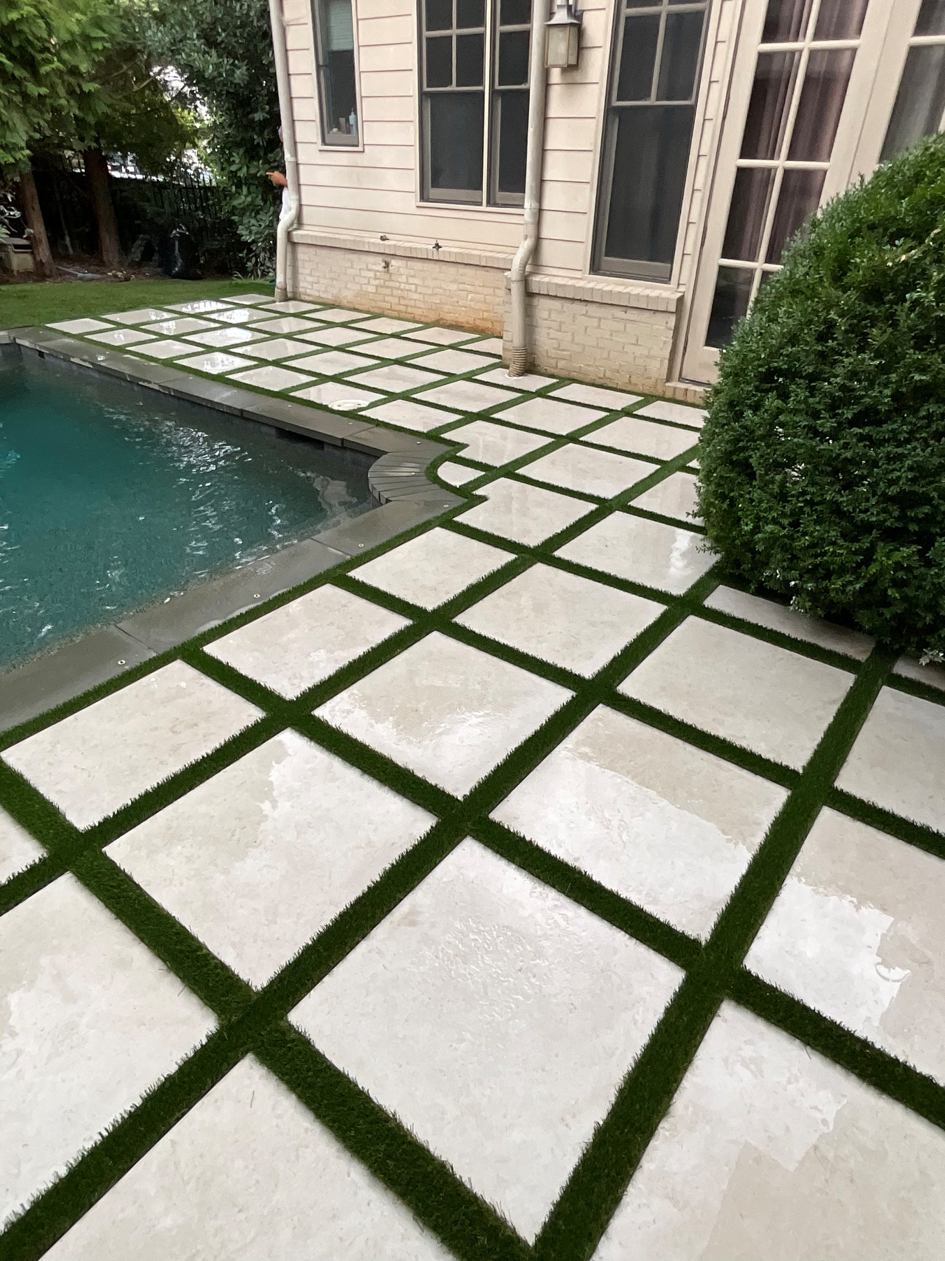 Back Yard Update
