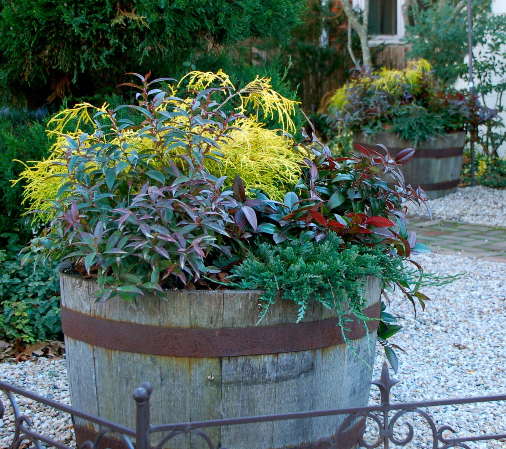 7 Ways to Get Your Container Garden Ready for Winter