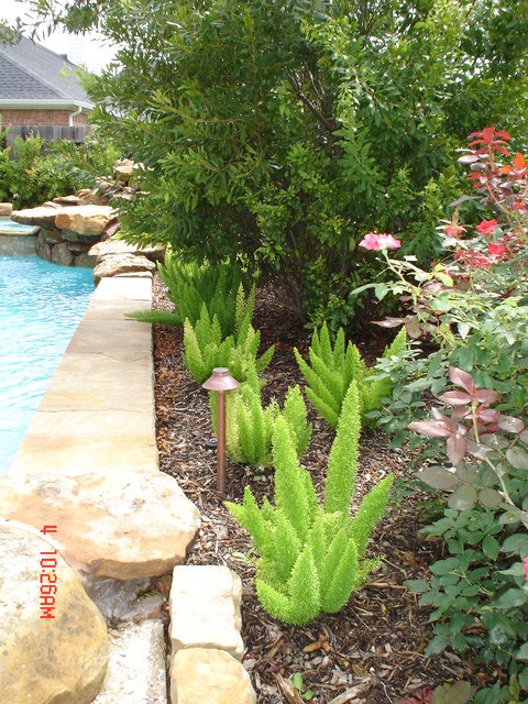 Landscape Ideas american-traditional-swimming-pool