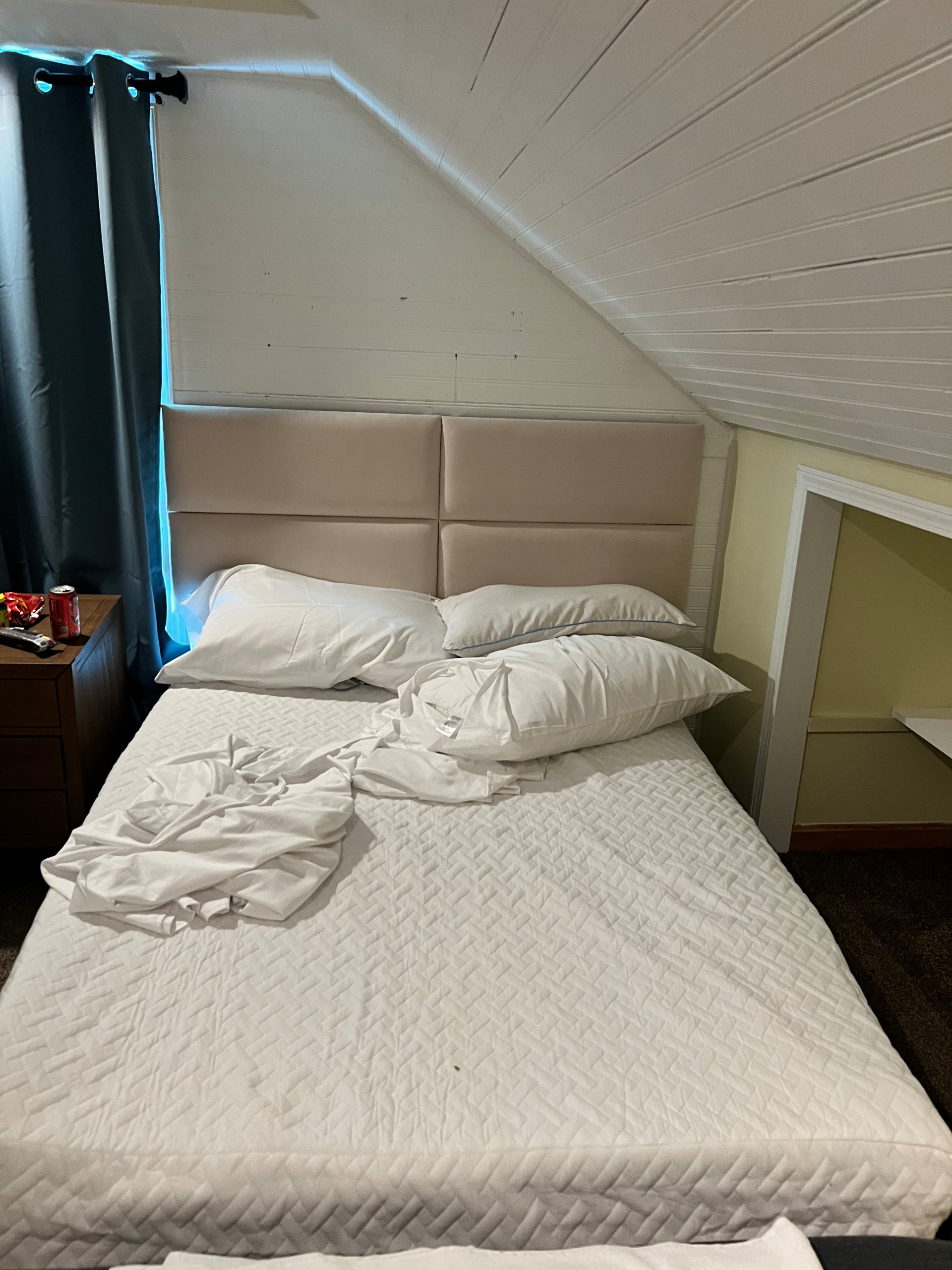B&B Hawksbill Luray