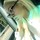 webuser_151332013