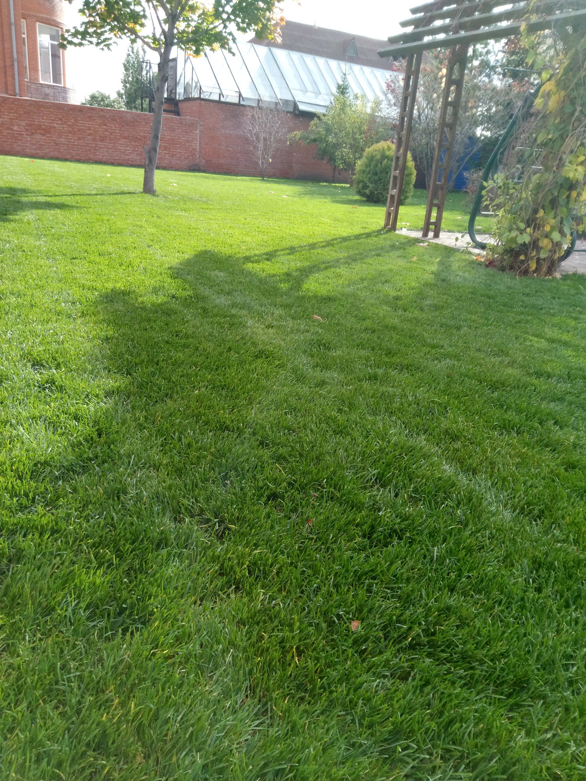 Частная территория (СибНИИСХоз)