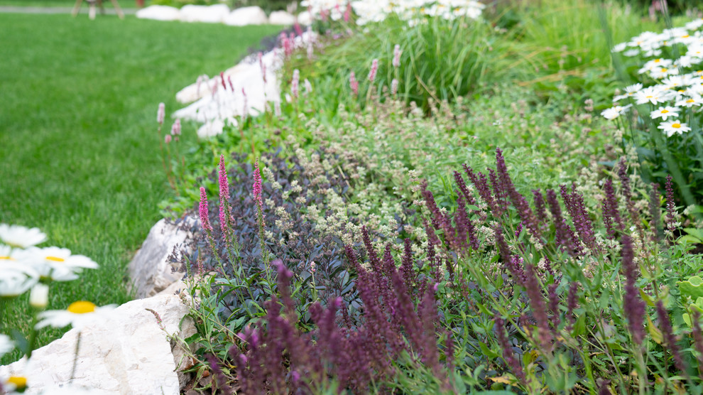 Мечта об Альпах. КП "Вымпел", Новорижское шоссе. 2017 г.