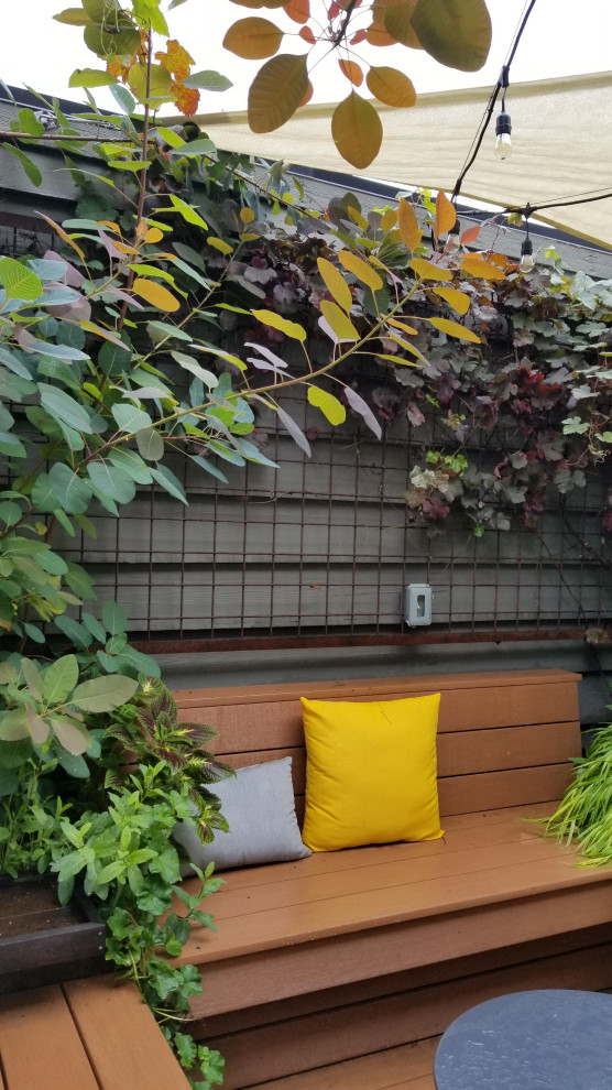 Photo of a contemporary backyard shaded garden for spring in Seattle with a vertical garden, gravel and a wood fence.