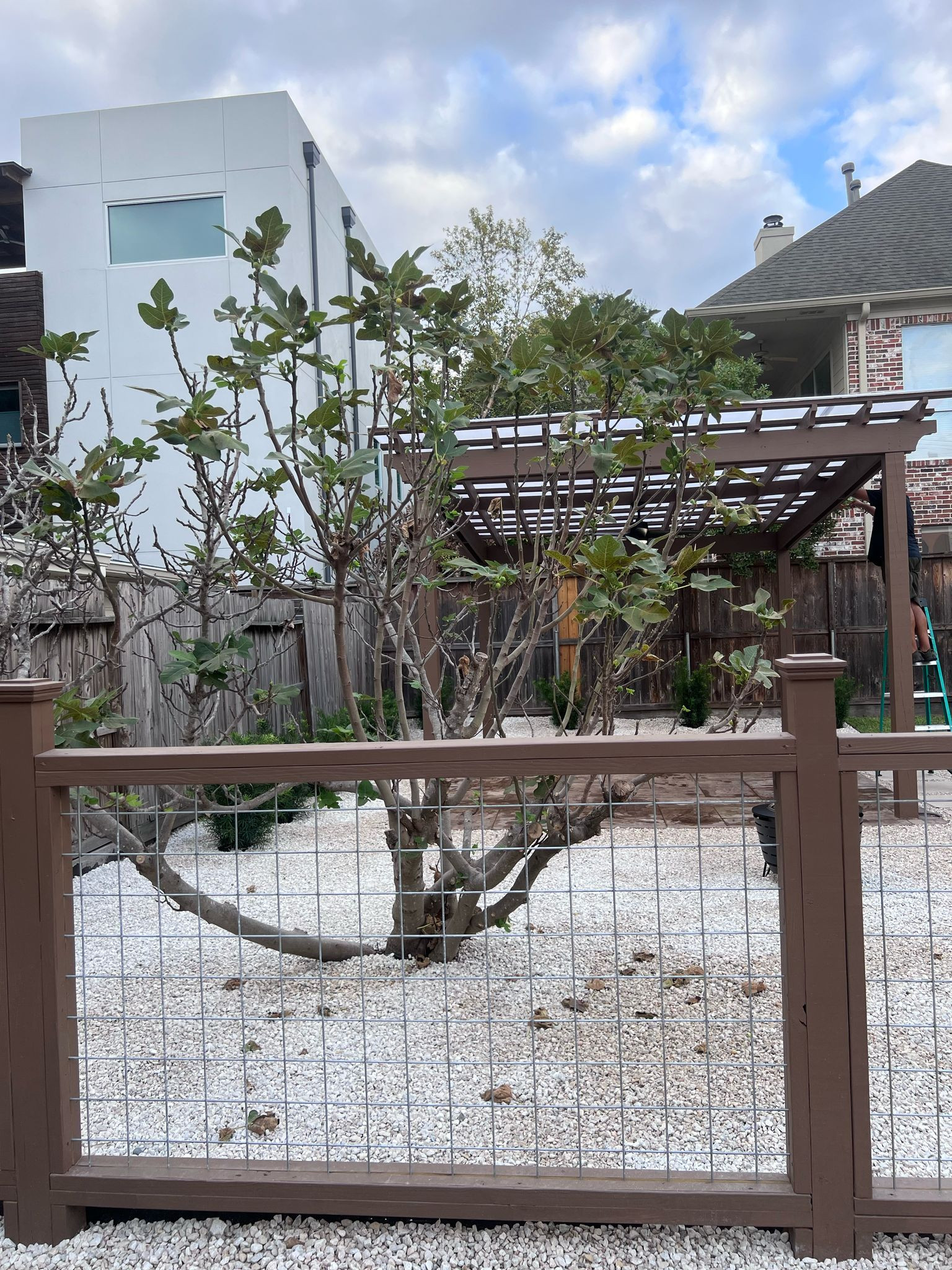 Beautiful stamped concrete patio with Pergola Cover on Haddon st!