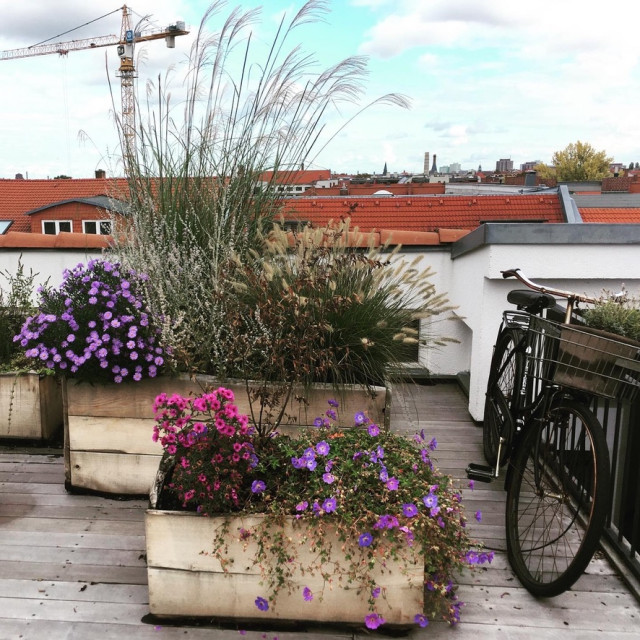 Bapflanzung Holzgef&auml;&szlig;e auf Dachterrasse deck