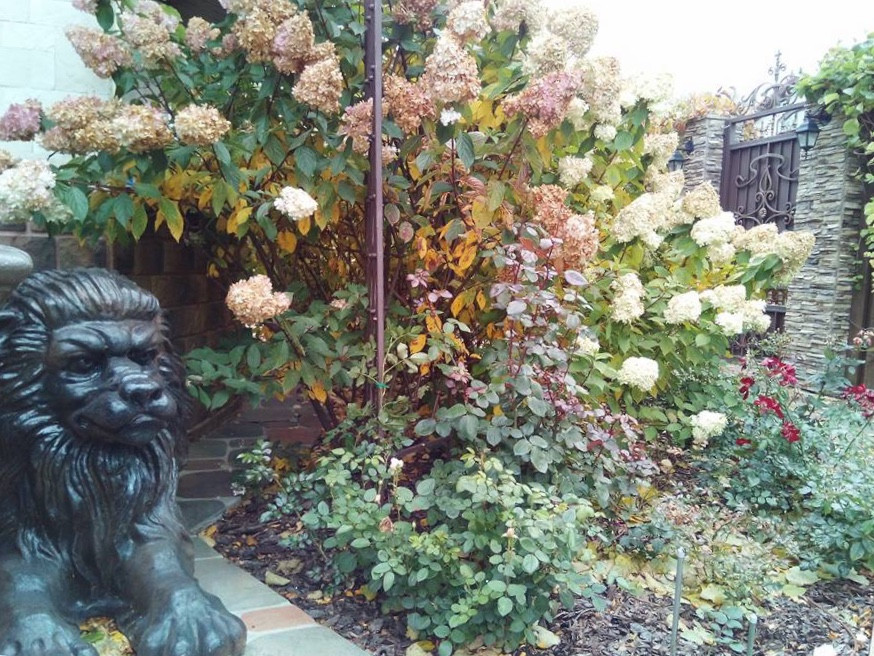 Сенькино московская обл