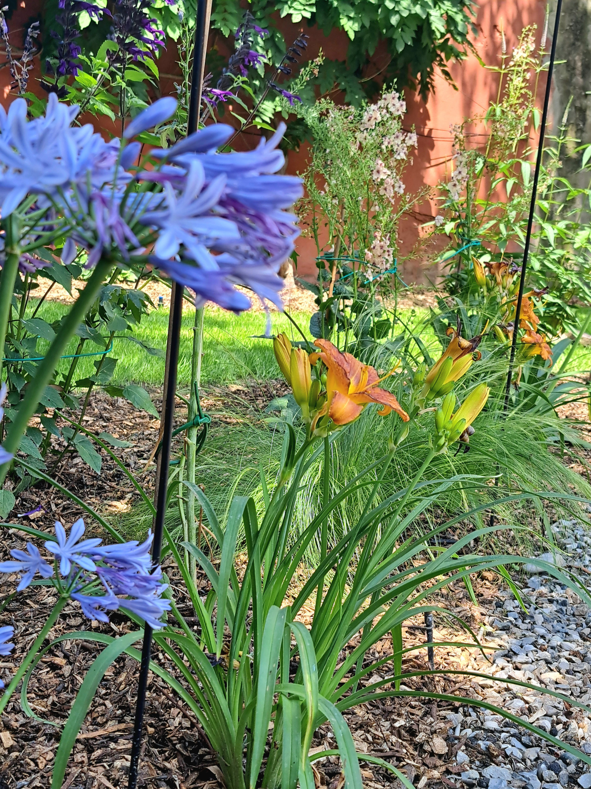 Giardino privato P.S.