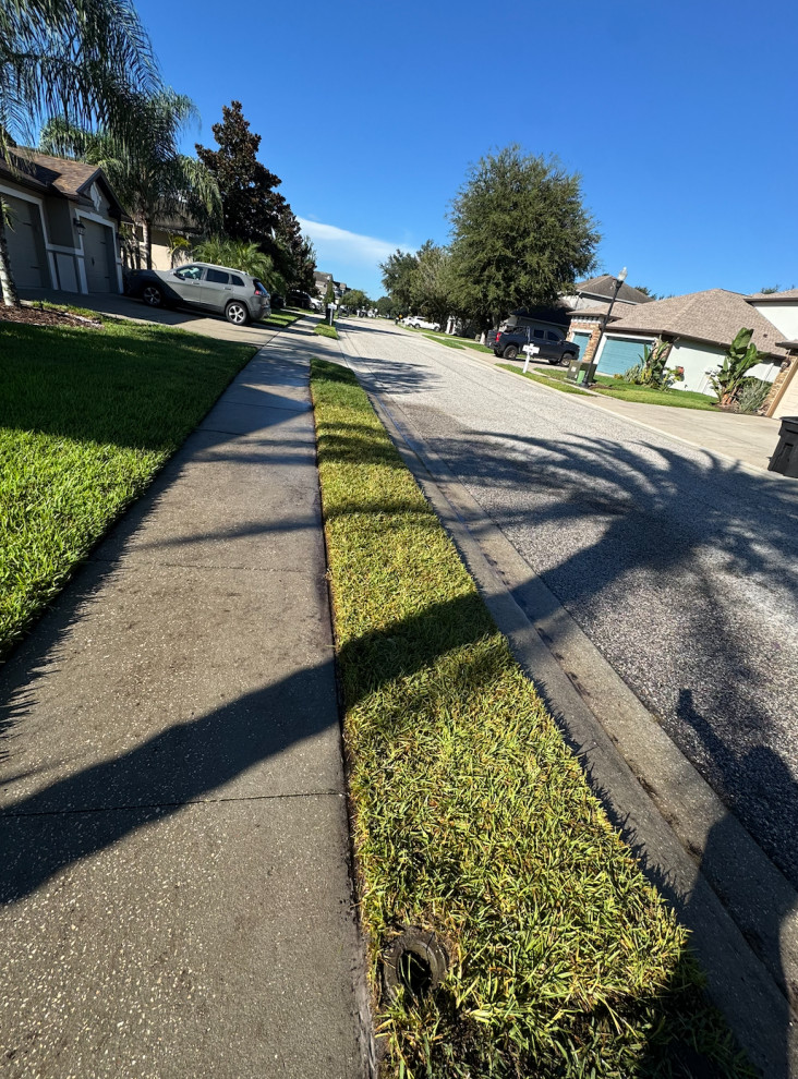 Front Yard Sod Installation – Wesley Chapel, FL