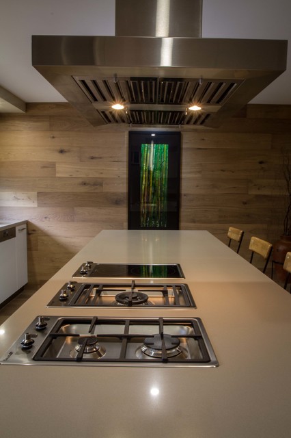 Berwick Kitchen contemporary-kitchen
