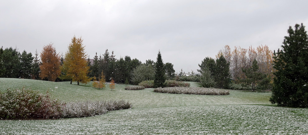 Новый пейзаж