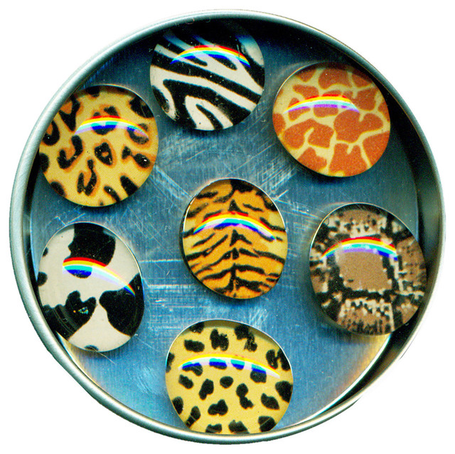 Animal Print Glass Gem Magnet Set Eclectic Desk Accessories Animal Print Glass Gem Magnet Set